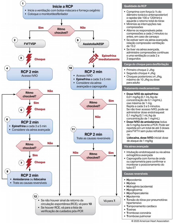 22Brasil Socorristas - APH | American Heart Association 2020 Português PDF | AHA 2020