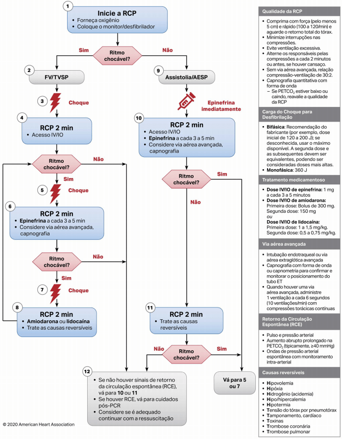 aha 2020, aha 2020 guidelines, aha 2020 pdf, aha 2020 português, american heart association 2020 português pdf, atualização aha 2020, bls 2020 pdf, diretrizes aha 2020, protocolo aha 2020, 22brasil, 2