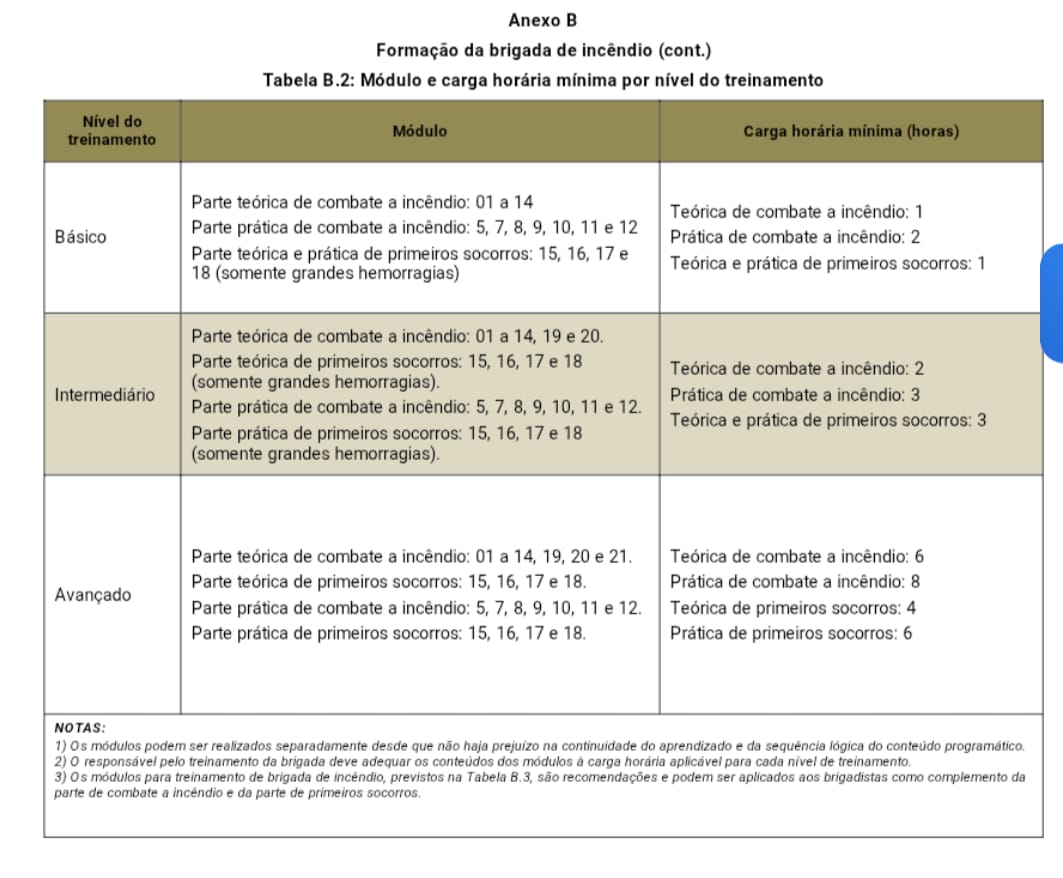 22Brasil Socorristas|Brigada de Incêndio | NR 23