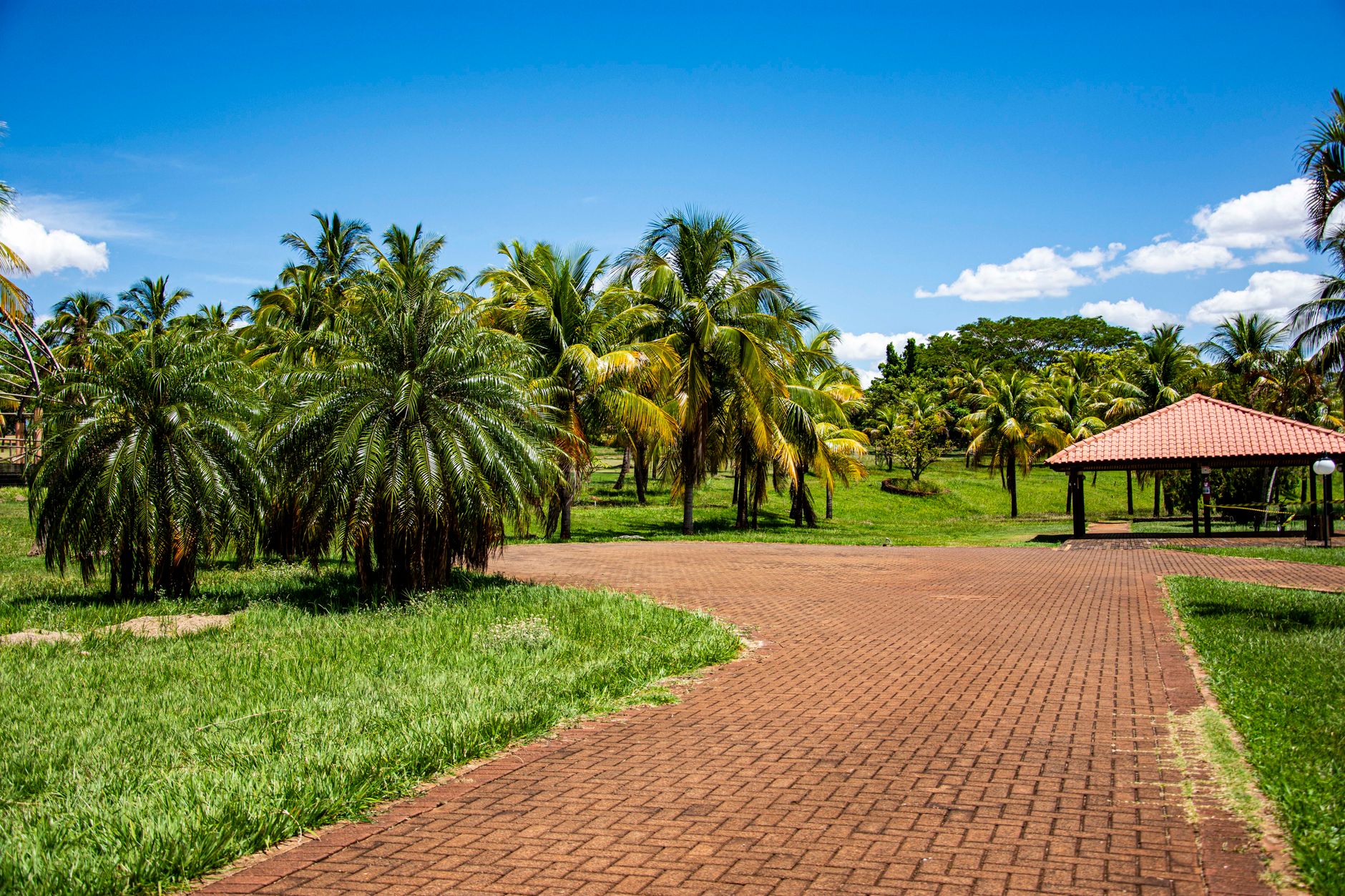 Lush tropical park with palm trees and pavilion in Primeiro de Maio, Brazil on a sunny day.